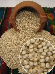 2013: International Year of Quinoa