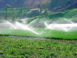 Agua, el motor de la agricultura  